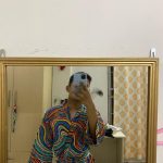 Anil shrestha(_august83-Insta) 7 IMG 20230731 215716 010