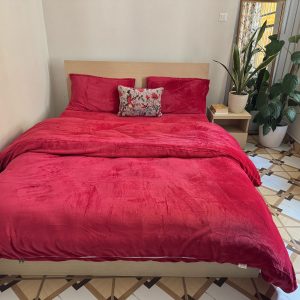 Set Of 4 Red Velvet Bedsheet And Quilt Cover Only