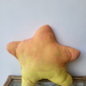 Star Shaped Cushion